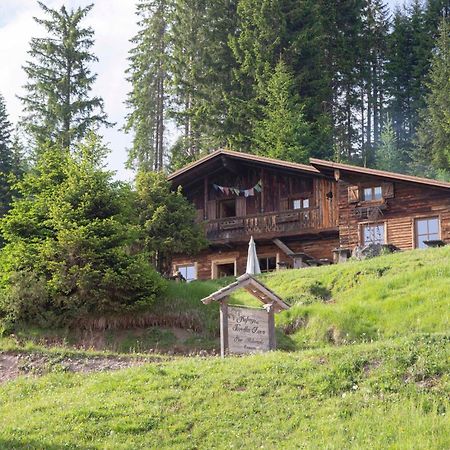 Rifugio Forcella Zovo Otel San Pietro di Cadore Dış mekan fotoğraf