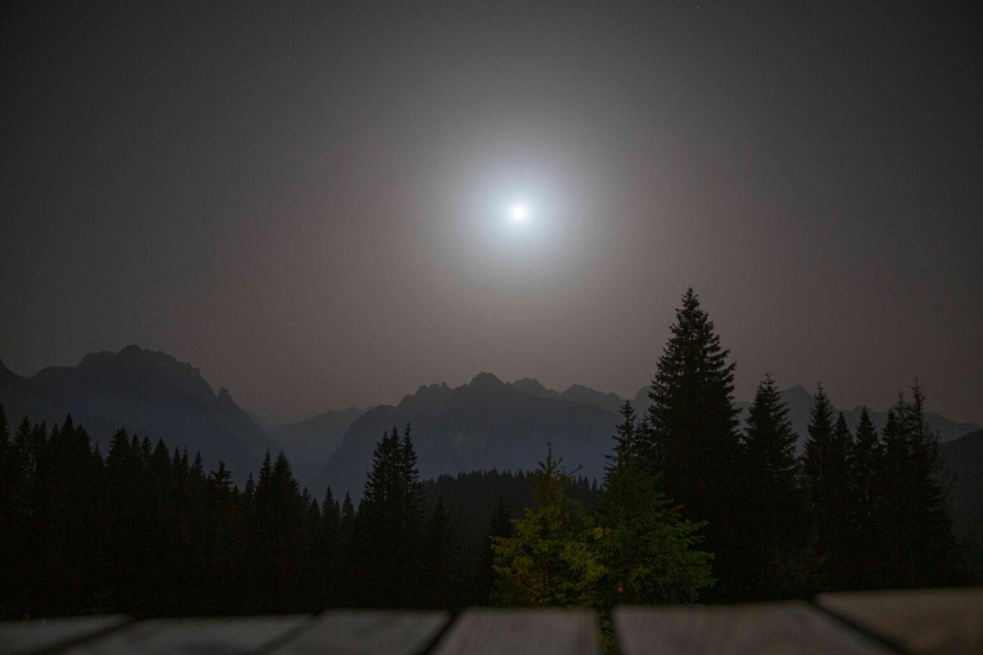 Rifugio Forcella Zovo Otel San Pietro di Cadore Dış mekan fotoğraf